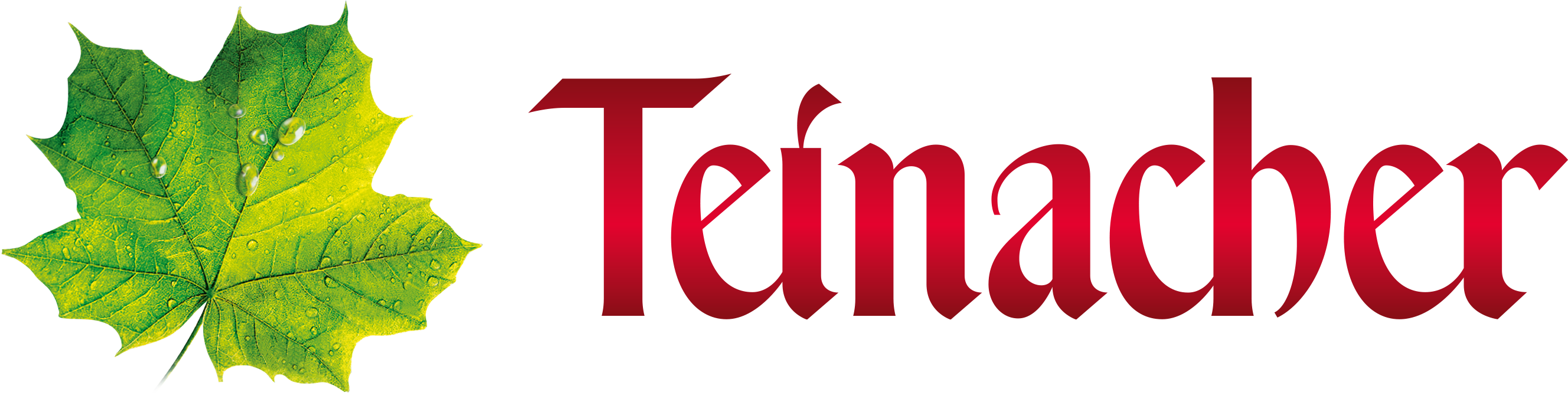 TEIN